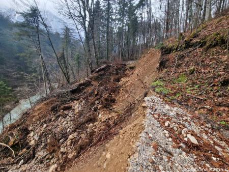 Terenski ogledi poškodovanih gozdnih cest (4)